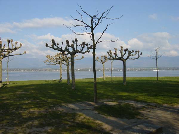 DSC01809