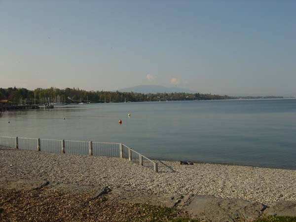 DSC01811