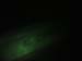 DSC01819