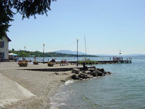 DSC02351