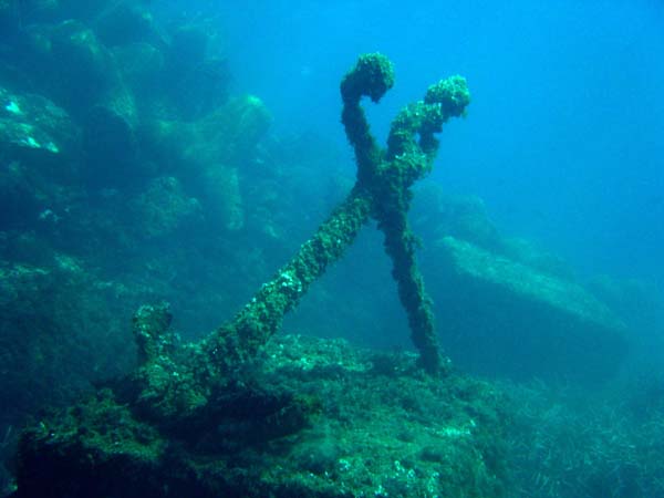 corse11