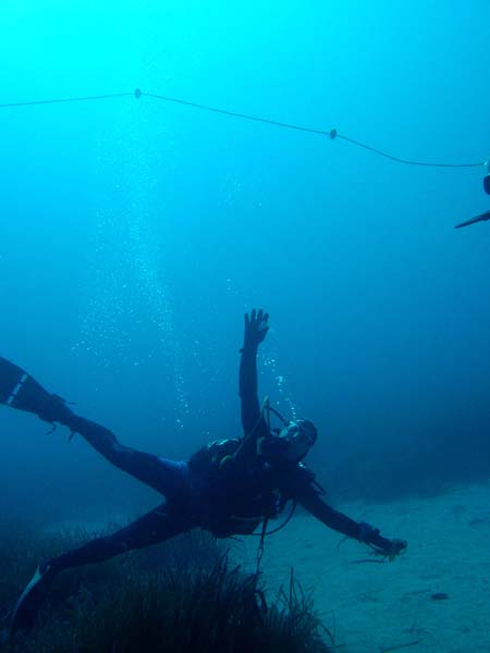 corse52