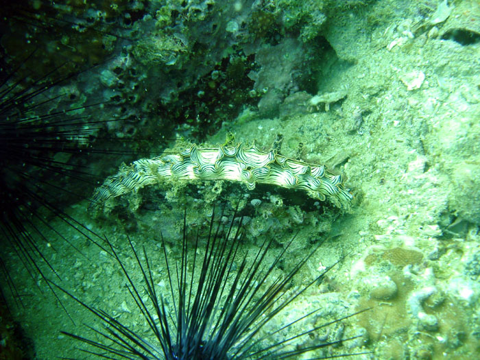 DSC04197