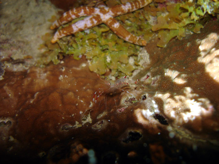 DSC04675