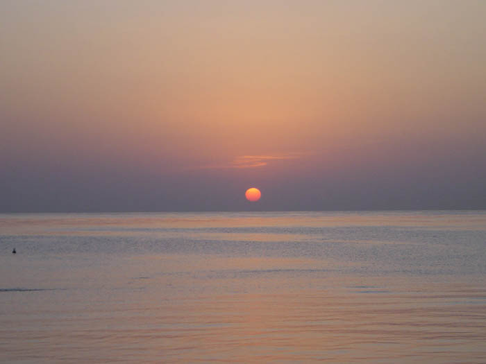 DSC0001