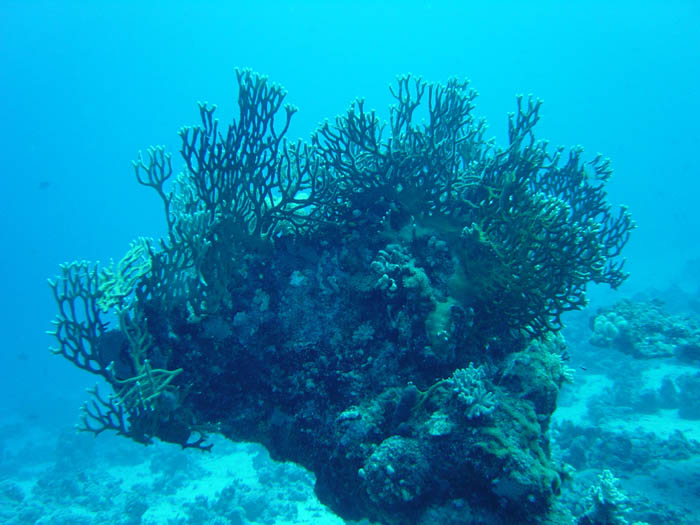 DSC01005