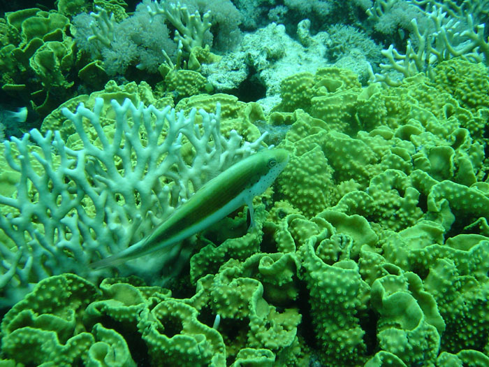 DSC03801