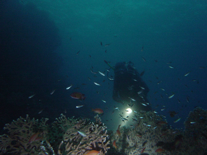 DSC04141