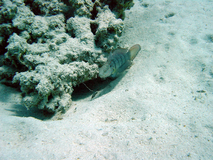 DSC06612