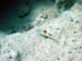 DSC06870