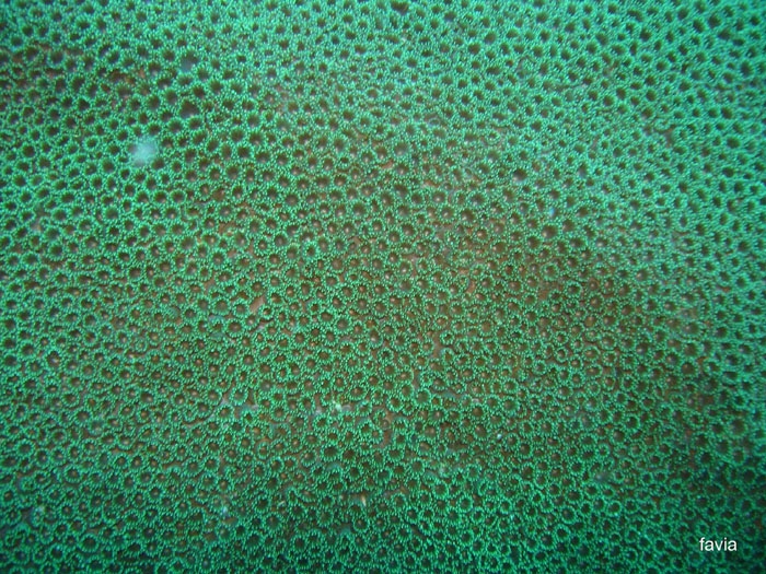 DSC00487