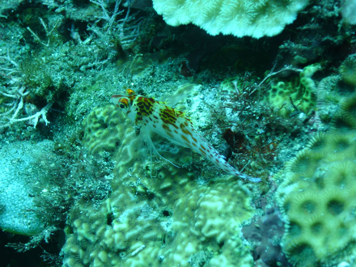 DSC05066