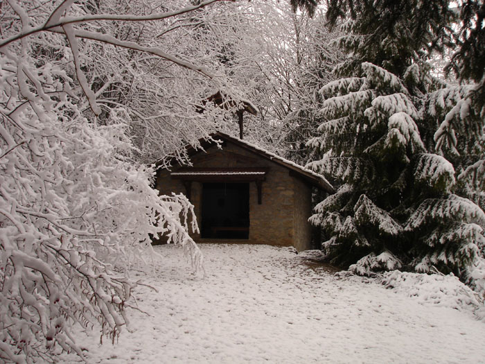 DSC06115